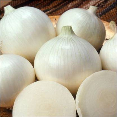 Chalisa Allium cepa, Milk white onion Seed(75 per packet)