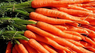 PRADHAM SEEDS CARROT Seed(1 kg)