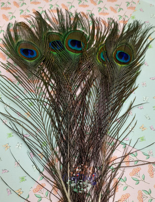 CRAFTWAFT Pack of 200 Decorative Feathers(15 CM Peacock Feather)
