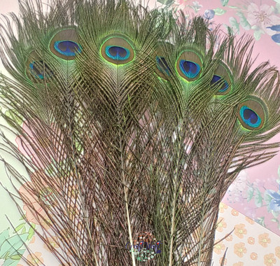 CRAFTWAFT Pack of 25 Decorative Feathers(30 CM Peacock Feather)