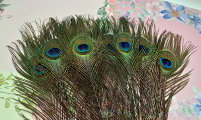 CRAFTWAFT Pack of 200 Decorative Feathers(30 CM Peacock Feather)