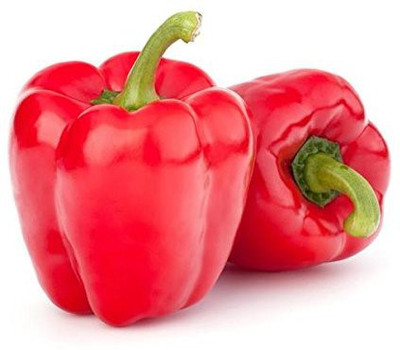 CYBEXIS HUA-99 - Big Red CAPSICUM - (450 Seeds) Seed(450 per packet)