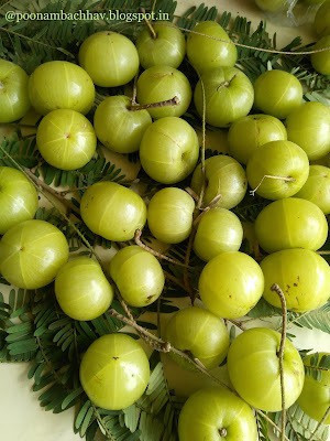 Paudha Amla Seed(27 per packet)