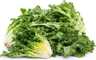 Paudha Lettuce Curly Hybrid Seed(22 per packet)