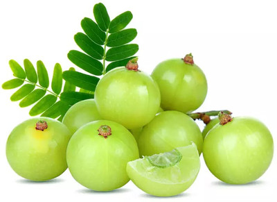 Paudha Amla Seed(60 per packet)