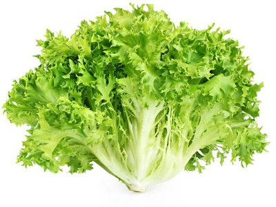 Paudha Lettuce Curly Hybrid Seed(22 per packet)