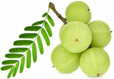 Paudha Amla Seed(61 per packet)
