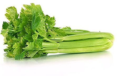 XOLDA Celery Seed(37 per packet)