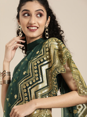 Paramparik Textile Embroidered Bollywood Net Saree(Green)