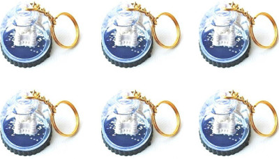 TANISHKA CREATIONS Keyring Water Taj Pack of 6 Key Chain
