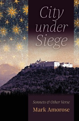 City under Siege(English, Paperback, Amorose Mark)