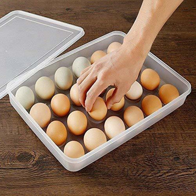 TINSUHG Plastic Egg Container  - 2 dozen(Clear)