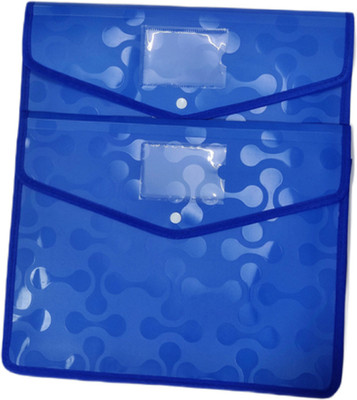 ERIKRAUZ Expanding A4/Legal Heavy Duty Document File Bag, Decent look Envelope Holder Storage Case, Snap Button Organizer, My Clear Plastic Container A4(Set Of 2, Blue)