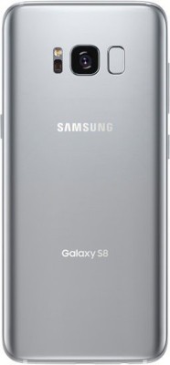 ShoppKing Samsung Galaxy S8 Back Panel(Silver)