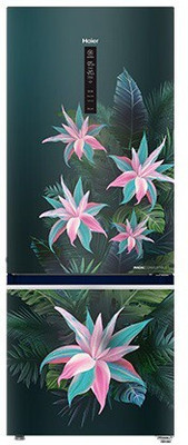 Haier 376 L Direct Cool Double Door 3 Star Refrigerator(Green Tropical, HRB-3964BGT-E)