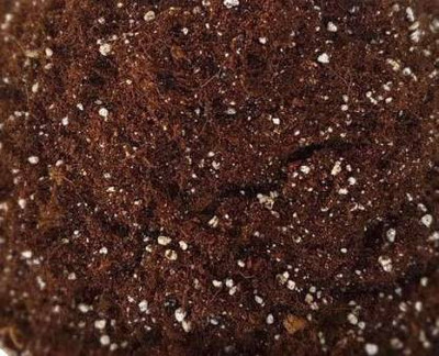 Ecogreen Earth Magic Enriched Organic Calcium Magnesium Sulphur Rich Potting Soil Mix with COCOPEAT Cow Manure Organic Fertilizer Compost for Plants Soil, Manure, Fertilizer(5 kg, Cake) Ecogreen Earth Magic Enriched Organic Calcium Magnesium Sulphur Rich Potting Soil Mix with COCOPEAT Cow Manure Organic Fertilizer Compost for Plants Soil, Manure, Fertilizer(5 kg, Cake)