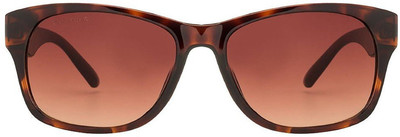 Fastrack Wayfarer Sunglasses(For Men, Brown)
