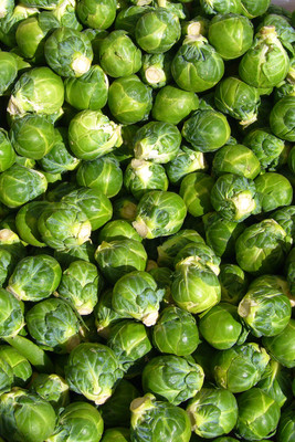 Paudha Brussels Sprout Seed(20 per packet)