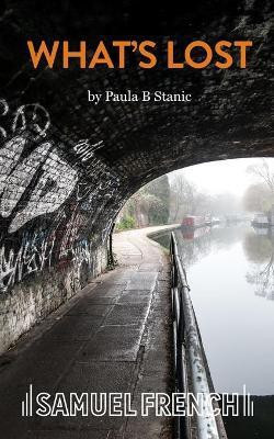 What's Lost(English, Paperback, Stanic Paula)
