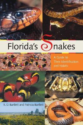 Florida's Snakes(English, Paperback, unknown)