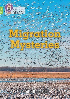 Migration Mysteries(English, Paperback, Iserles Inbali)