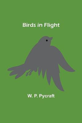 Birds in Flight(English, Paperback, P Pycraft W)