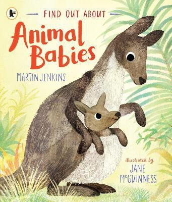 Find Out About ... Animal Babies(English, Paperback, Jenkins Martin)