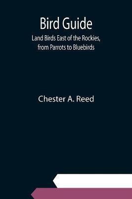 Bird Guide(English, Paperback, A Reed Chester)
