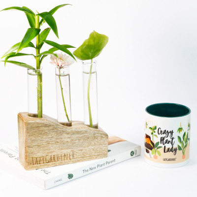 lazy gardener Plant Container Set(Pack of 2, Ceramic)