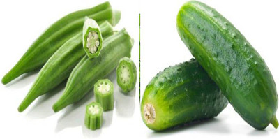 xcentax Cucumber, Lady Finger (Bhindi) Okra Summer Seed(20 per packet)