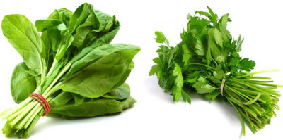 xcentax Coriander, Spinach Seed(20 per packet)