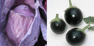 xcentax brinjal, cabbage Seed(20 per packet)