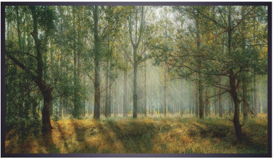 Jagvii 90 cm Forest Self Adhesive Sticker(Pack of 1)