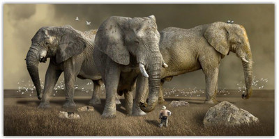 Jump up 60 cm Elephant Self Adhesive Sticker(Pack of 1)