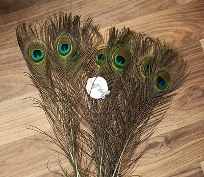 CRAFTWAFT Pack of 10 Decorative Feathers(18 INCH Peacock Feather)