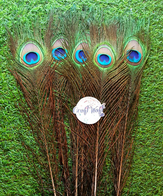 CRAFTWAFT Pack of 5 Decorative Feathers(23 CM Peacock Feather)