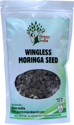 Green India Wingless Moringa Drumstick Seeds (More than 3000 Seed)Pack of 750 Gram Seed(3000 per packet)