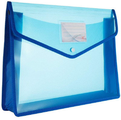 Fedus Plastic File Folder(Set Of 1, Blue)