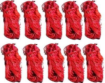 Shankypal 26 LEDs 9.78 m Red Steady String Rice Lights(Pack of 10)