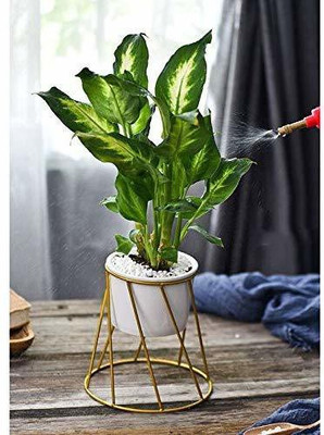 E C Creation Plant Container Set(Metal)