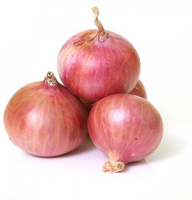 FRESHO onion vegetable hybrid seeds 1-packet Seed(20 per packet)