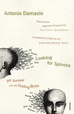 Looking For Spinoza(English, Paperback, Damasio Antonio)