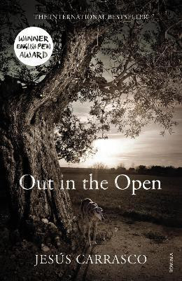 Out in the Open(English, Paperback, Carrasco Jesus)