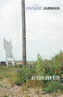 At Your Own Risk(English, Paperback, Jarman Derek)