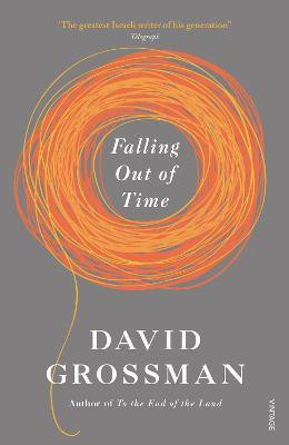 Falling Out of Time(English, Paperback, Grossman David)