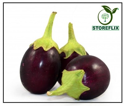 STOREFLIX BRINJAL PURPLE ROUND Seed(100 per packet)