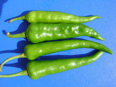 PRADHAM SEEDS CHILLI DDX Seed(10 g)