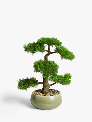 FRESHO beautiful bonsai herb hybrid seeds 1-packet Seed(20 per packet)