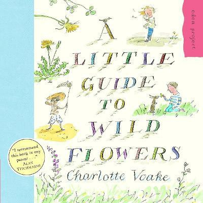 A Little Guide To Wild Flowers(English, Paperback, Voake Charlotte)
