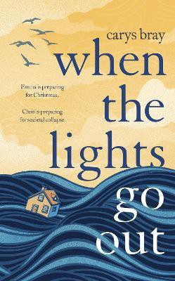 When the Lights Go Out(English, Hardcover, Bray Carys)
